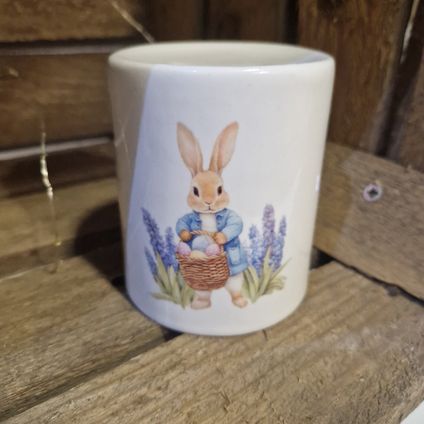 Peter Rabbit Money Box
